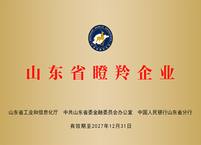 山东省瞪羚企业